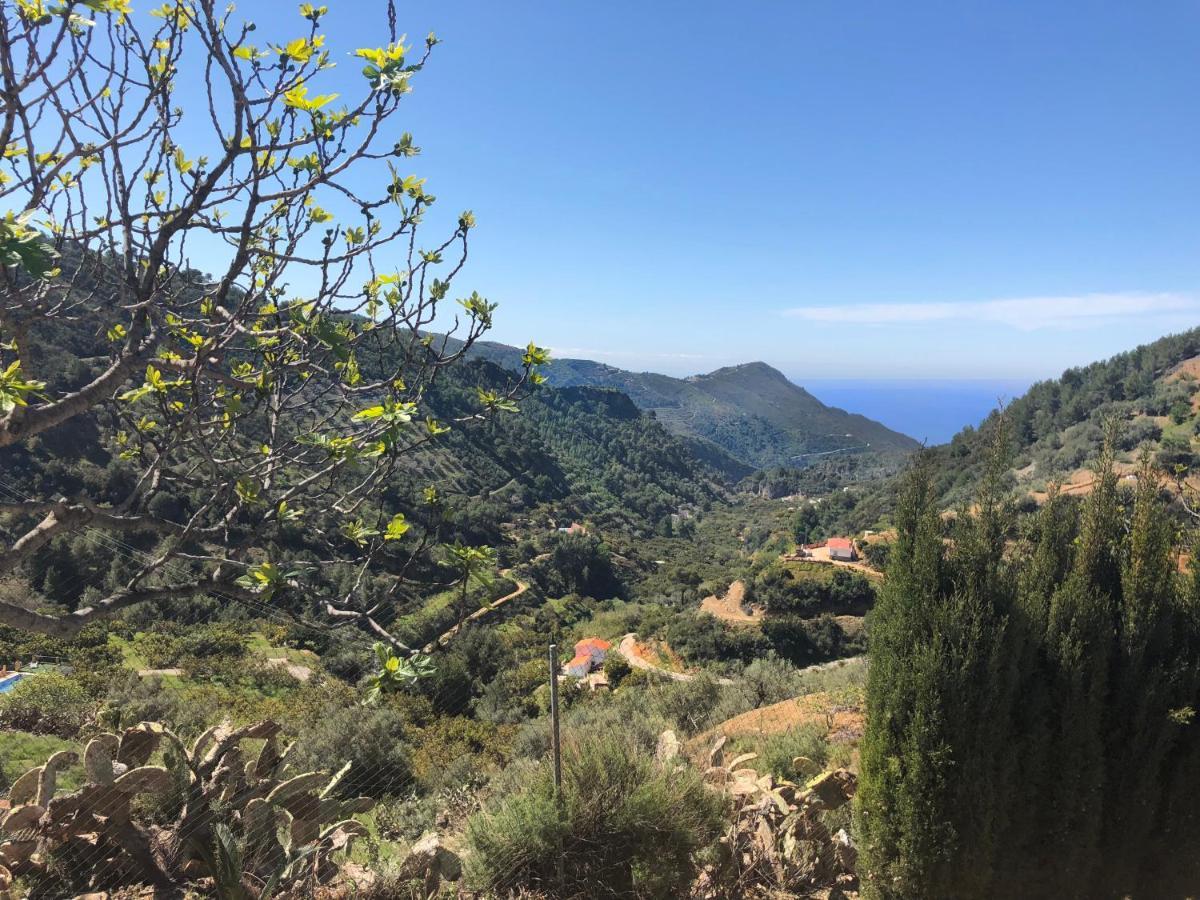 Cortijo Luque Villa Nerja Dış mekan fotoğraf